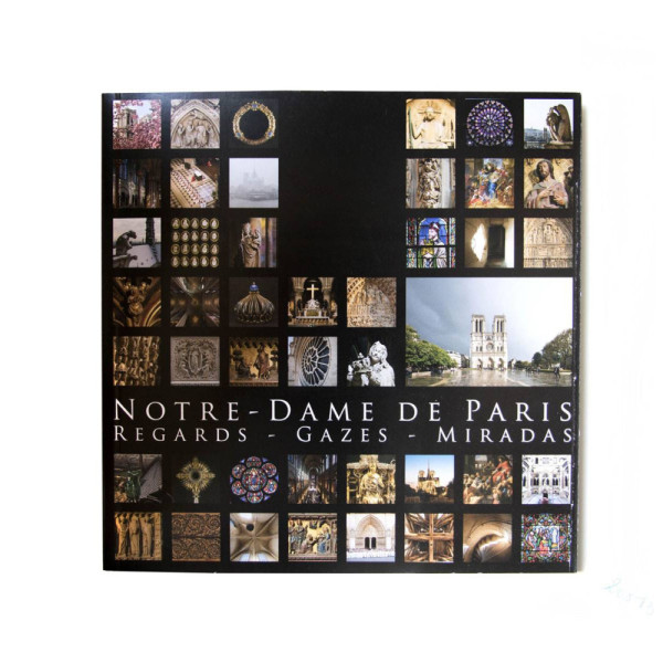 REGARDS - GAZES - MIRADAS, Fotografías de Notre Dame de París